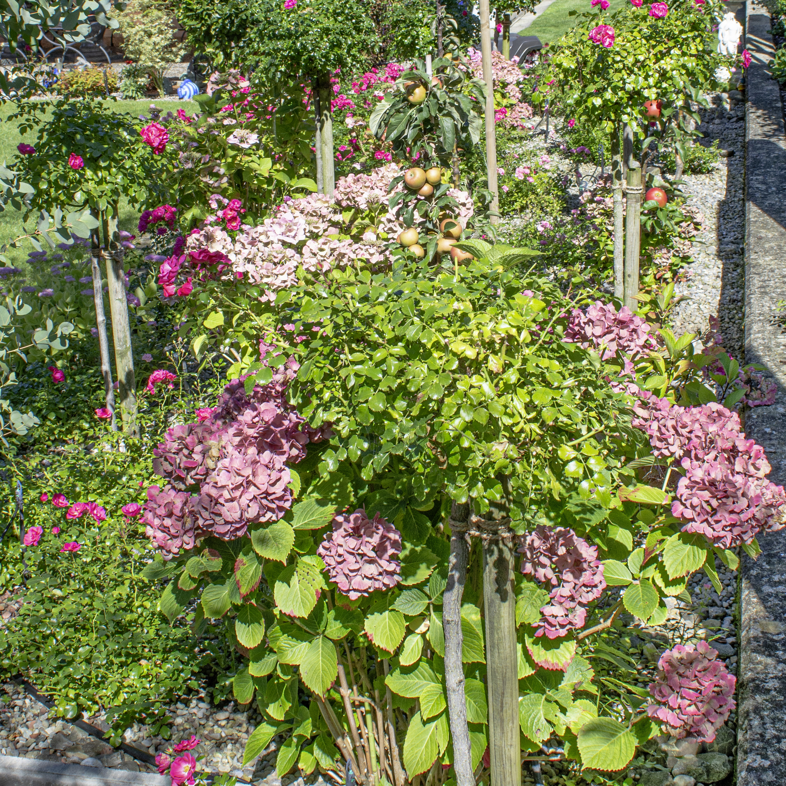 garten_1.jpg